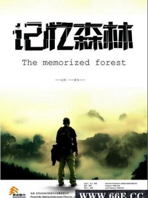 治愈剧情剧集《巷口有风》海报
